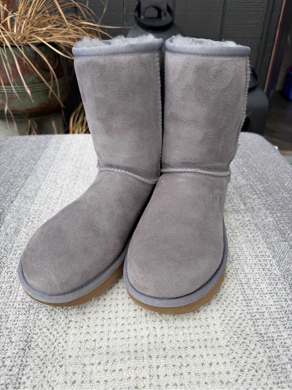 UGG Women's Dusty Lavender Classic Short Shearling Boots